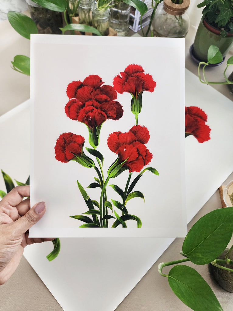 Whispering Carnations Fine Art Print