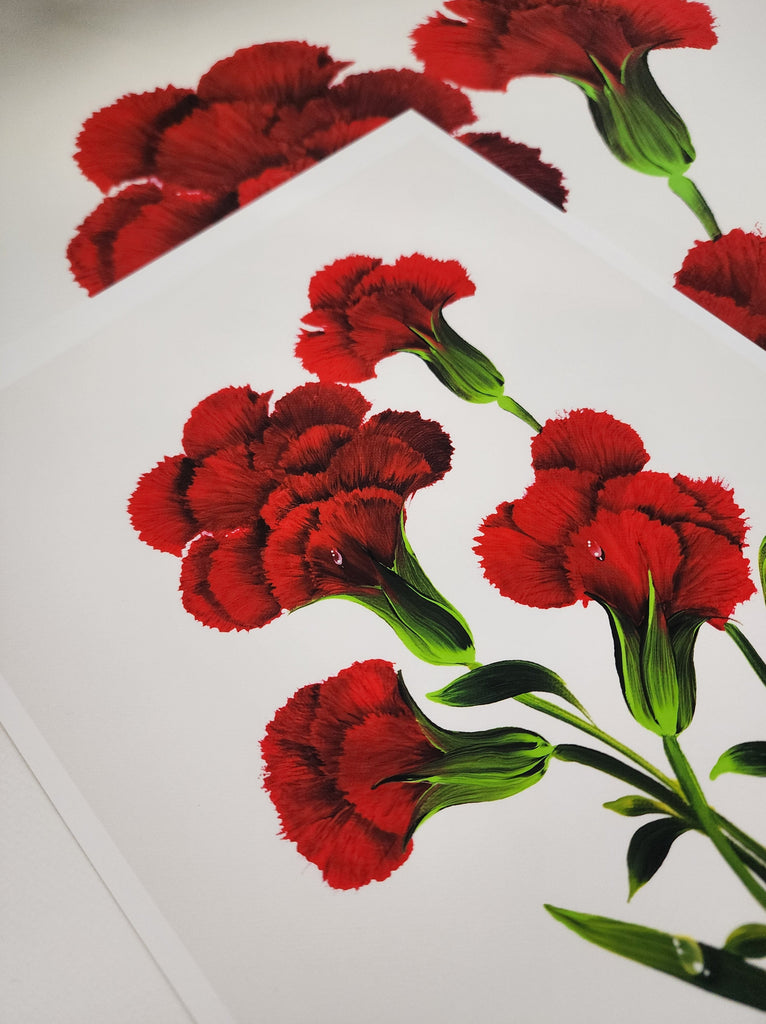 Whispering Carnations Fine Art Print